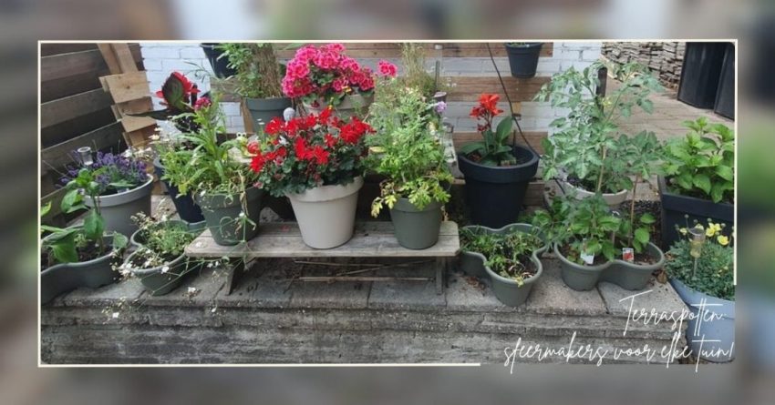 Terraspotten: sfeermakers voor elke tuin!