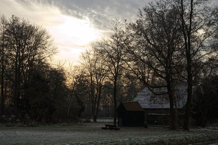 Beste gepolariseerde zonnebril dames 2024: Optimale oogbescherming en visueel comfort