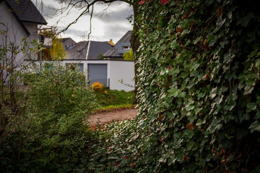 De beste verwarmde sjaal van 2024: Een technische analyse van comfort De beste verwarmde sjaal van 2024: Een technische analyse van comfort