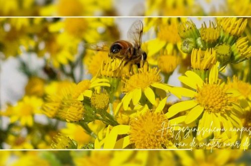 Je gezinsschema aanpassen aan de lente, handige tips!