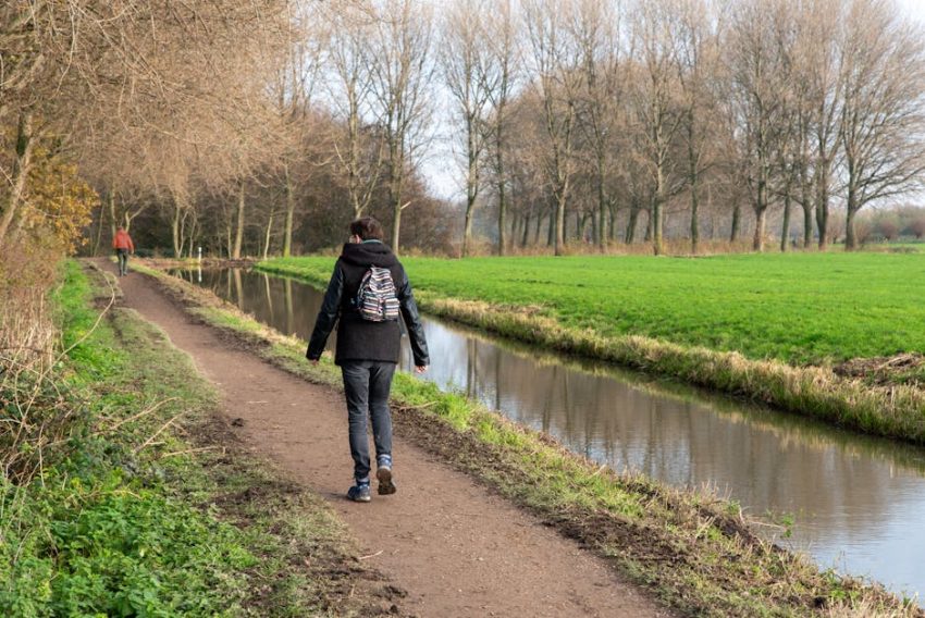 Goedkope spijkerbroek dames 2024: Kwaliteitsanalyse en prijs-prestatieverhouding